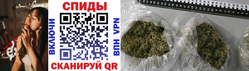 OMG ТОР  Луза  Бутират BDO  сколько стоит 