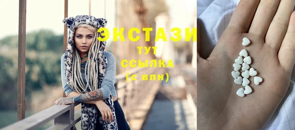 дмт Новодвинск