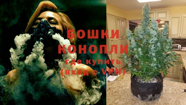 не бодяженный Новозыбков