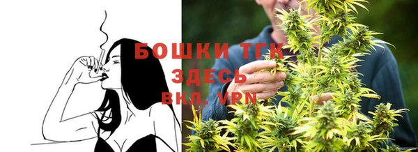 дмт Новодвинск