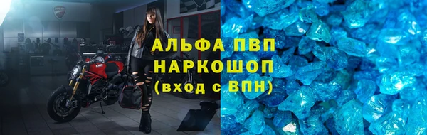 дмт Новодвинск