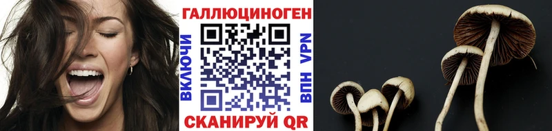 Галлюциногенные грибы ЛСД  ссылка на мегу маркетплейс  Луза 