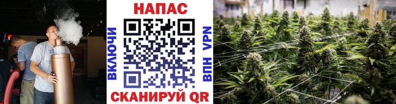 Бошки Шишки LSD WEED  Луза 